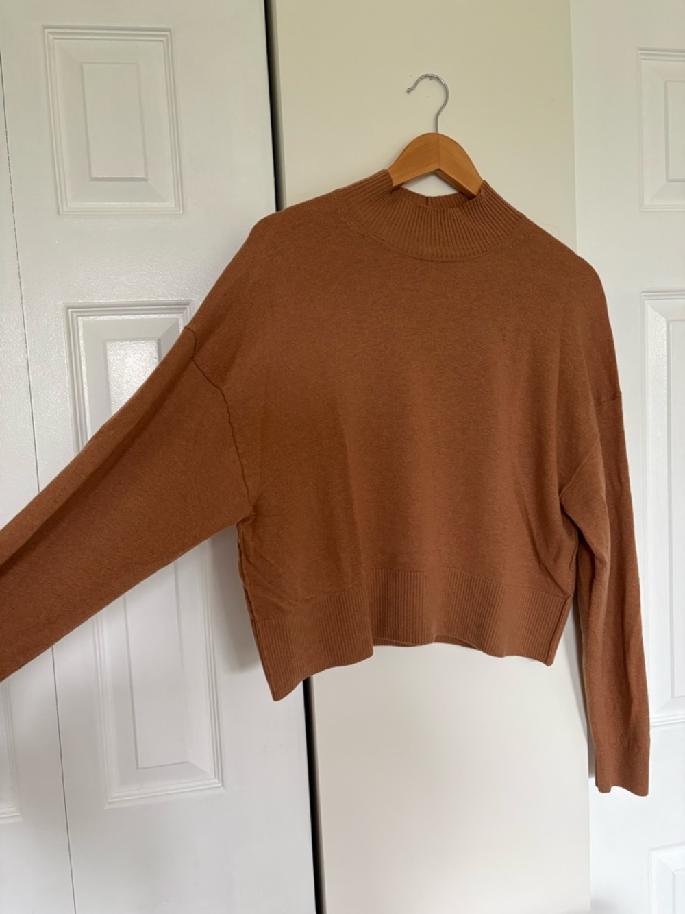 Everlane Copper Brown Ribbed Mock Neck Sweater